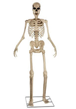 Load image into Gallery viewer, Animated 8 Foot Giant Skeleton Decoration - ST
